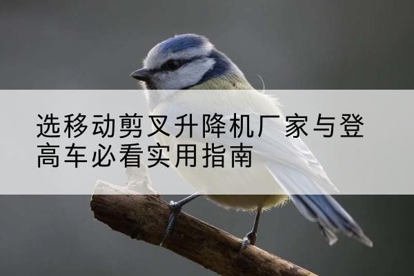 巴音郭楞电动升降机厂家-选移动剪叉升降机厂家与登高车必看实用指南