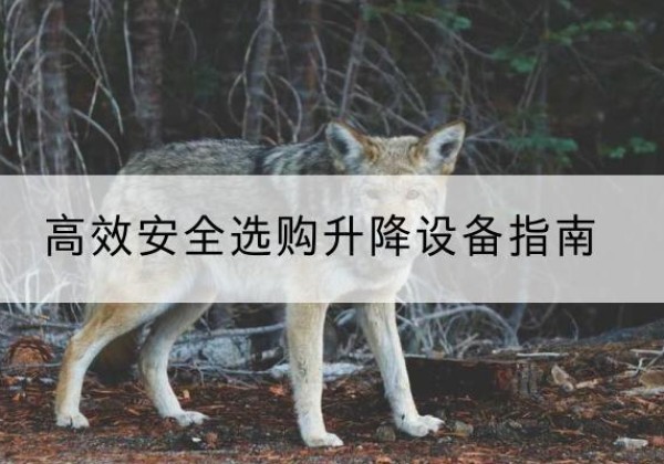 巴音郭楞升降货梯厂家推荐-*安全选购升降设备指南
